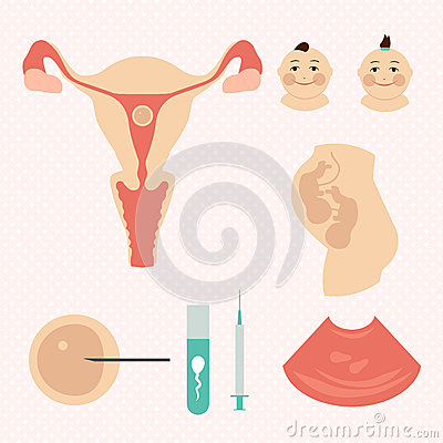 女性排卵期--找到正确的排卵时间，成功怀孕，开