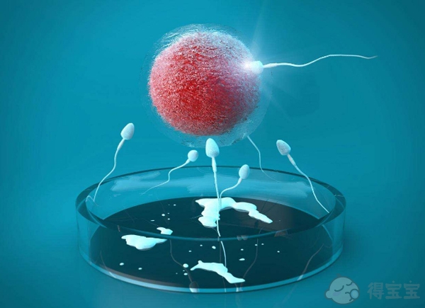 三代试管婴儿的费用：为什么不是所有取回的卵母细胞都能结合成胚胎？取出的卵子和胚胎数量的意义是什么？