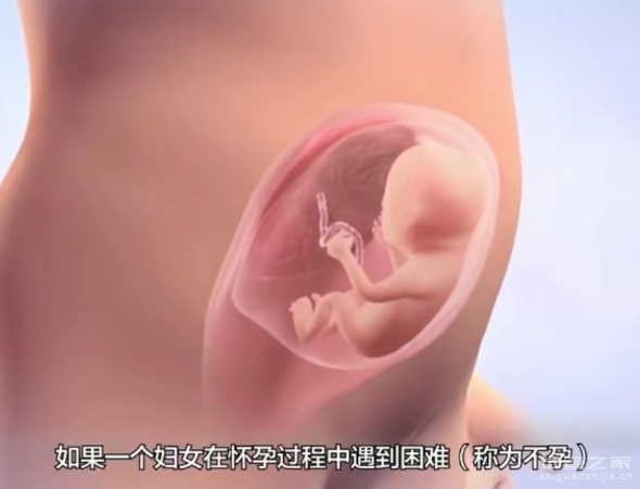 杭州试管代妈公司-深圳一公司因非法试管婴儿被罚1000万；该公司涉及在美国生育和在泰国试管婴儿的问题
