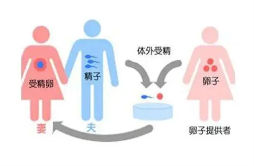 宁波捐卵机构：南昌大龄绝经期做捐卵试管婴儿机构名单! 2022年试管婴儿捐赠卵子的三甲医院重新启动