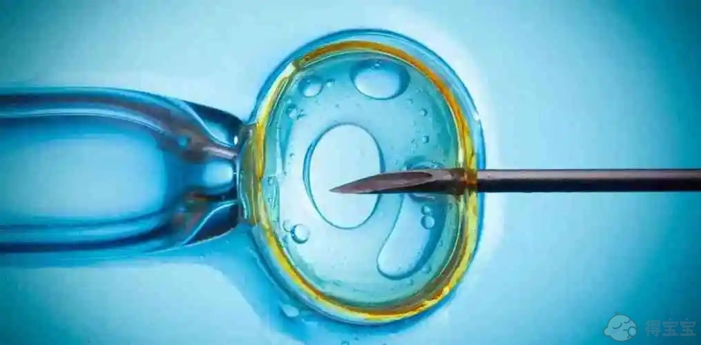 无锡供卵试管助孕包男孩多少钱：2022年在上海瑞金医院做试管婴儿怎么样？我可以进行精子捐赠和卵子捐赠吗？