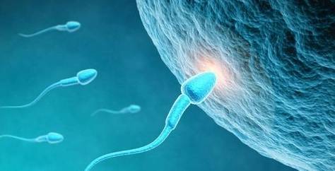 兰州靠谱供卵机构-如何增加男性的精子数量
