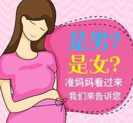 香港助孕公司生殖中心：具有专业准确性的高效性别检查安排