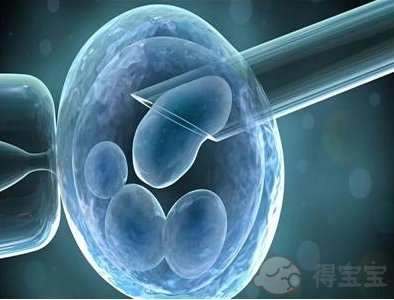 连云港借卵-上海九院的试管婴儿成功率是多少？试管婴儿的成功率是多少？