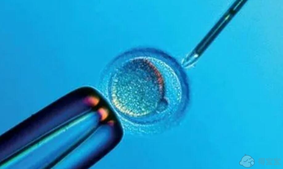 宁波供卵机构包成功费用：2022年余姚试管婴儿医院，宁波卵子捐献者机构参考的怀孕支持策略。