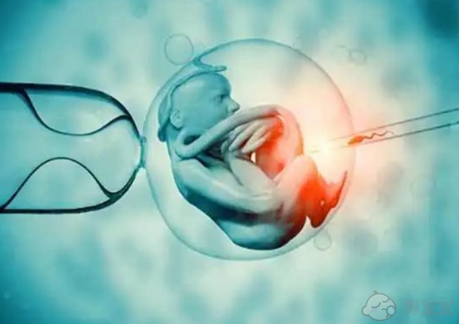 金华男同供卵助孕：2023年武汉不孕不育中心统计捐卵，10家医院供患者选择。