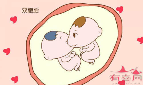 沧州单身助孕龙凤胎-做试管婴儿生双胞胎的几率有多大，能不能生双胞胎？