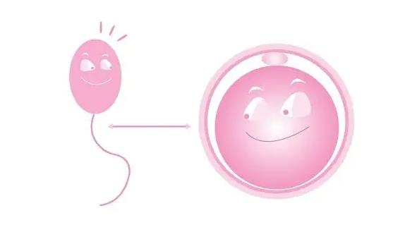 郑州捐卵：我可以在郑大一附院用捐赠的卵子做试管婴儿吗？申请用捐赠的卵子做试管婴儿的程序是什么？