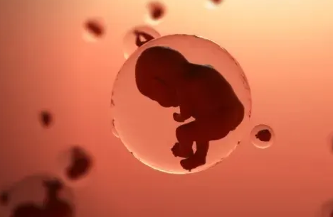 淮安试管婴儿助孕公司-这些症状很可能是试管婴儿移植后婴儿已经安顿下来的标志。